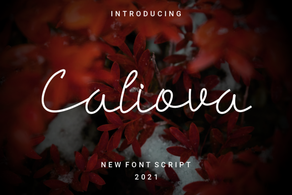 Caliova Font