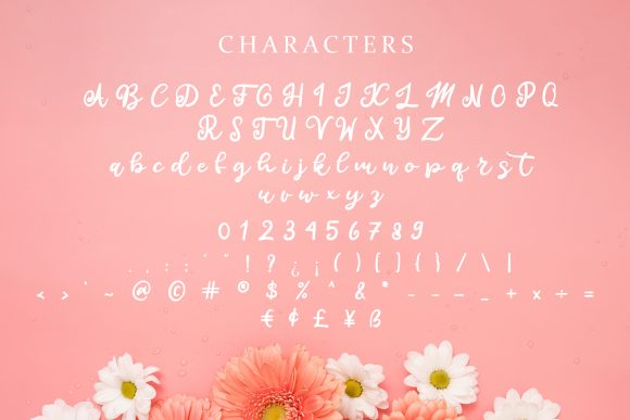 Calista Font Poster 7