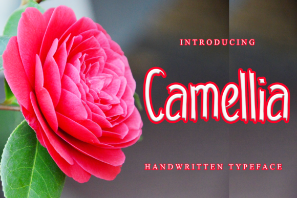 Camellia Font