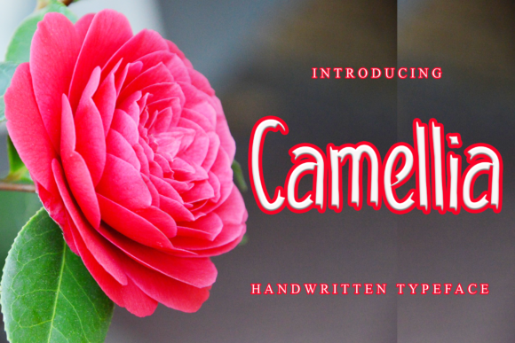 Camellia Font Poster 1