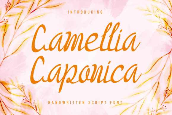 Camellia Caponica Font Poster 1