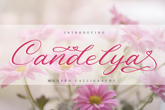 Candelya Font