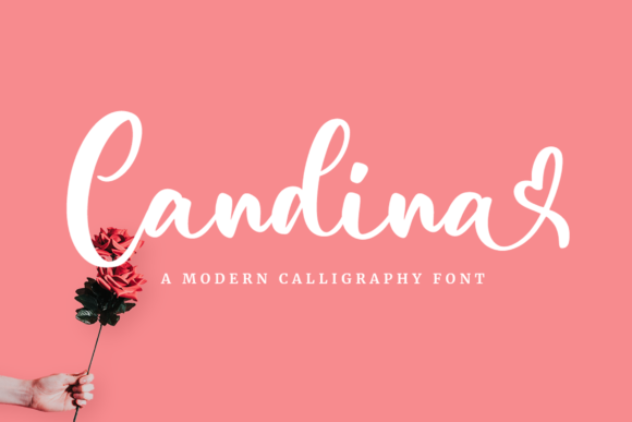 Candina Font