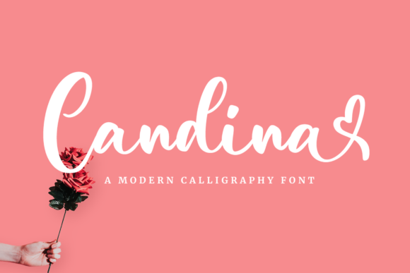 Candina Font Poster 1