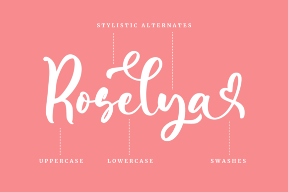 Candina Font Poster 9