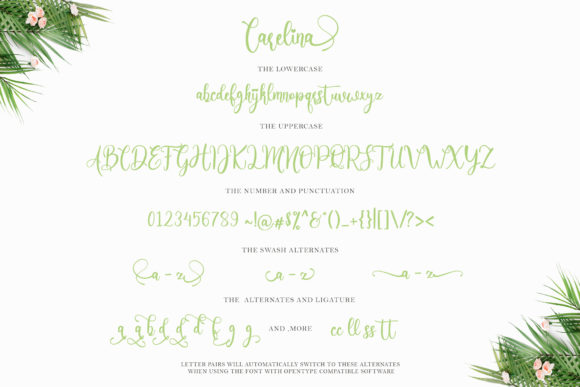 Carelina Font Poster 11