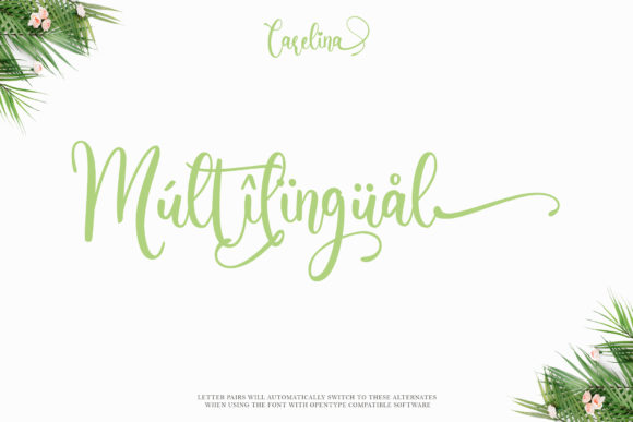 Carelina Font Poster 12