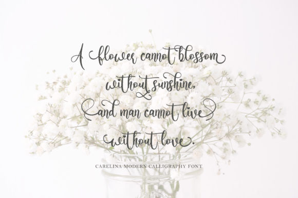 Carelina Font Poster 7