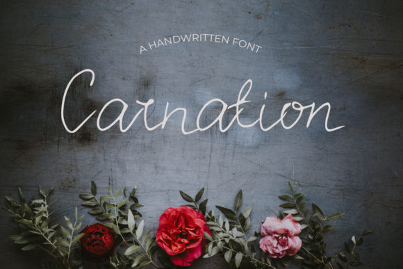 Carnation Font Poster 1