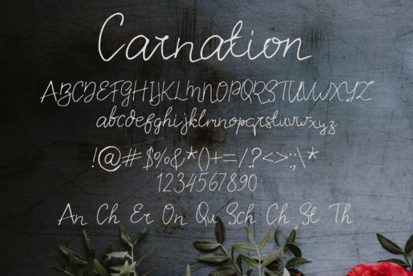 Carnation Font Poster 2
