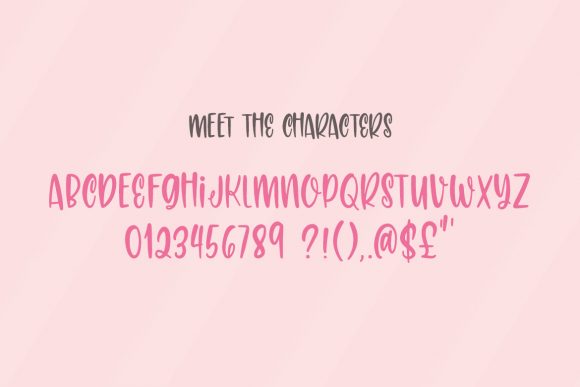 Carolina Font Poster 6