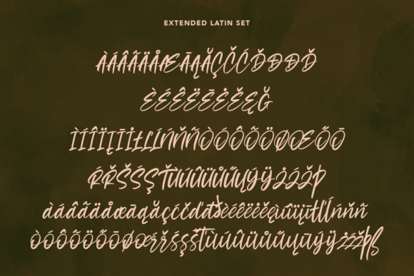 Cashwoots Font Poster 12