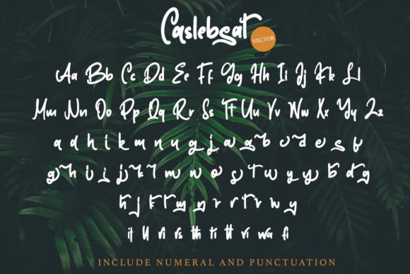 Caslebeat Font Poster 10