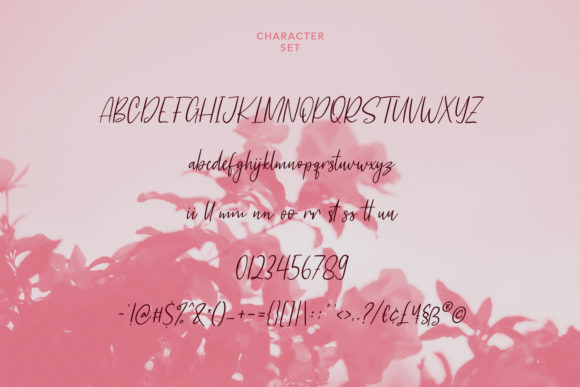 Castella Script Font Poster 8