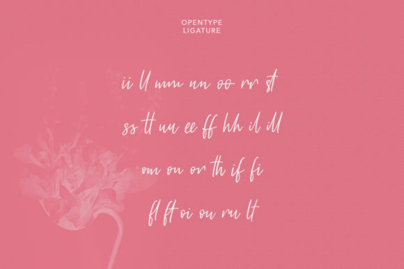 Castella Script Font Poster 9
