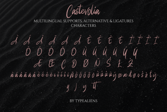 Castevolia Font Poster 11