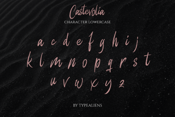 Castevolia Font Poster 9