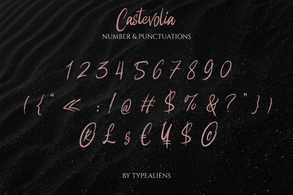 Castevolia Font Poster 10