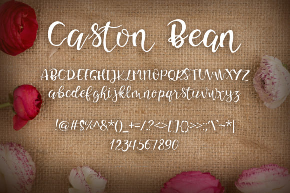 Caston Bean Font Poster 2