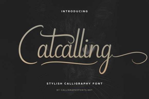 Catcalling Font Poster 1