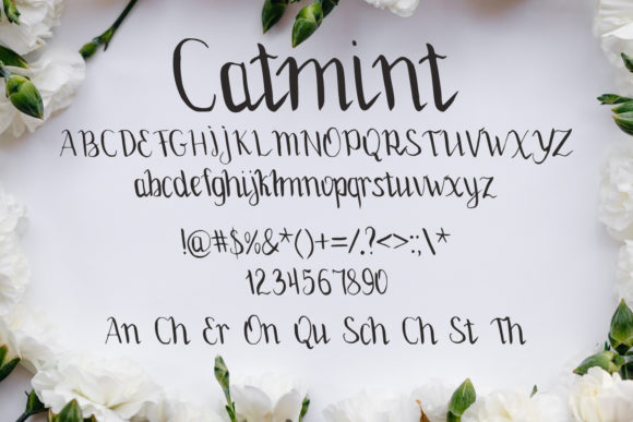 Catmint Font Poster 2