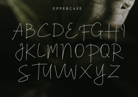 Celinea Font Poster 5