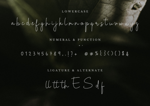 Celinea Font Poster 6