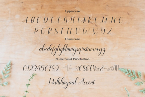 Celinya Font Poster 2