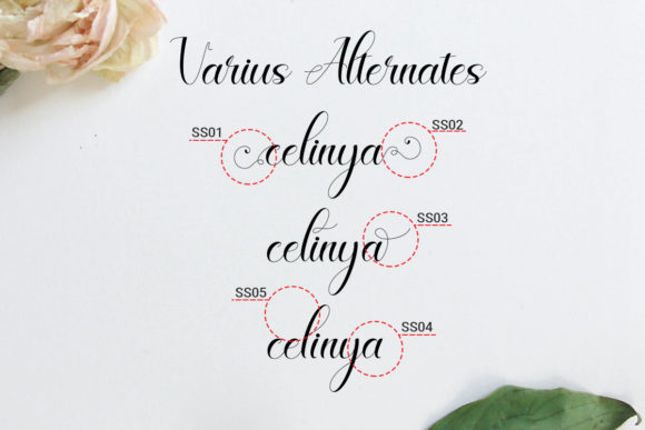 Celinya Font Poster 3