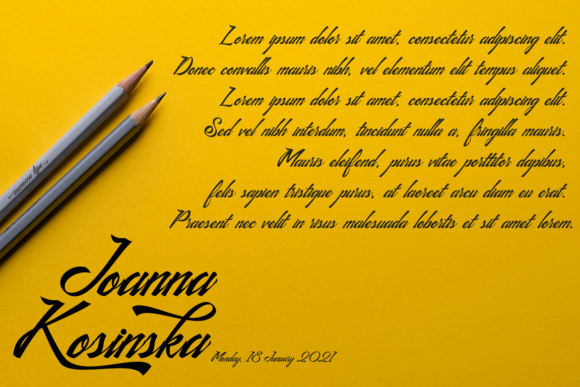 Cendrawasih Font Poster 8