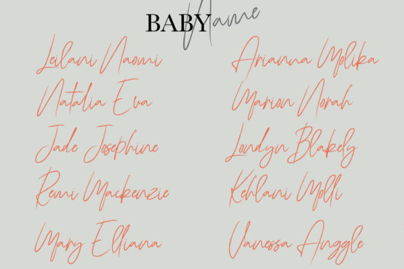 Chabhi Font Poster 4