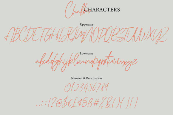 Chabhi Font Poster 9