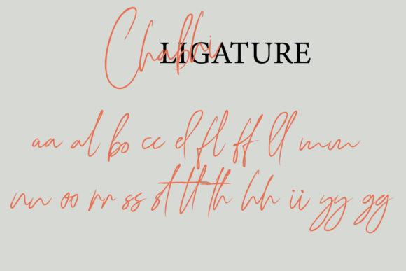 Chabhi Font Poster 10