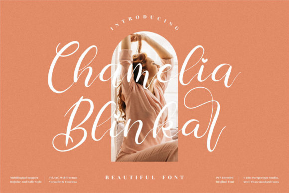 Chamelia Blinkar Font Poster 1