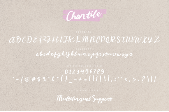 Chantile Font Poster 7
