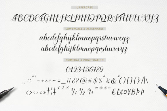 Chelya Font Poster 8