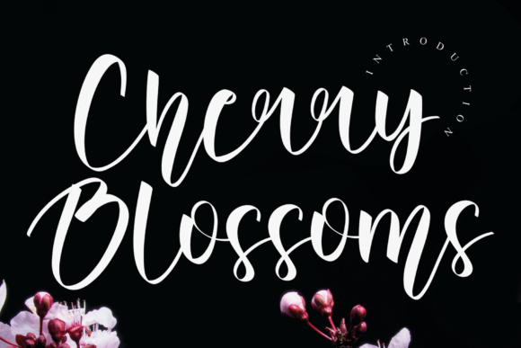 Cherry Blossoms Font