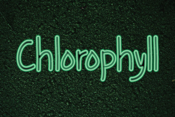Chlorophyll Font Poster 1