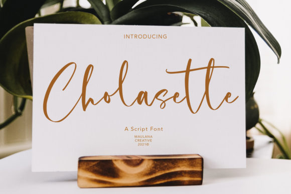 Cholasette Script Font