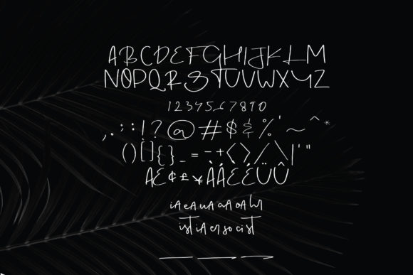 Christian Anderson Font Poster 5