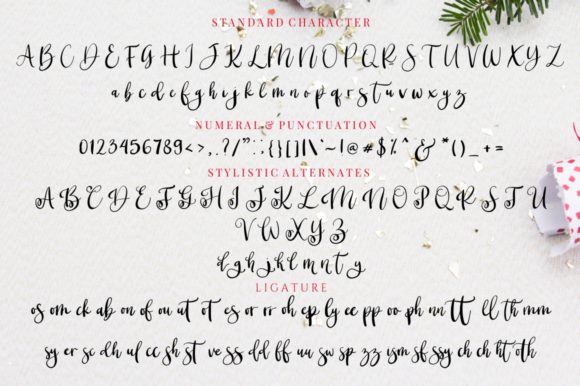 Christmas Blossom Font Poster 11