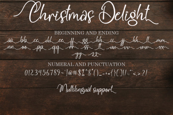 Christmas Delight Font Poster 8