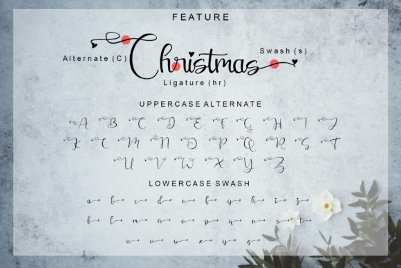 Christmas Winter Font Poster 6
