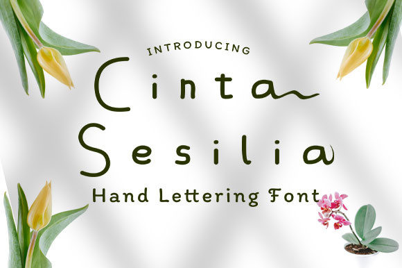 Cinta Sesilia Font Poster 1