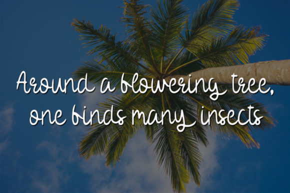 Coconut Tree Font Poster 2
