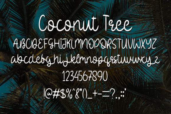 Coconut Tree Font Poster 4