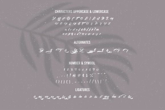 Colibri Font Poster 3