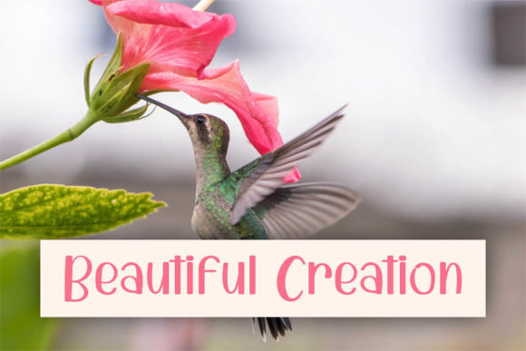 Creative House Font Poster 5