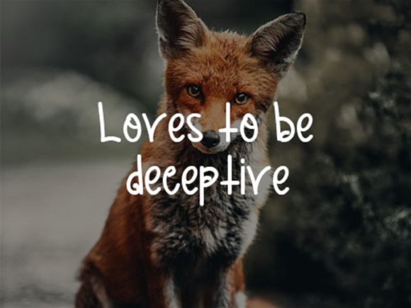 Cunning Fox Font Poster 2