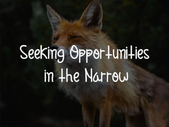Cunning Fox Font Poster 4
